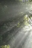 Val Júnior, Série Parque do Ibirapuera, fotografia