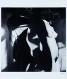 Fernando Lemos, A Sensualidade que Avança, fotografia, gelatina e prata