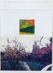 Daniel Steegmann Mangrané, Lichtzwang, 2010, aquarela e fotografia