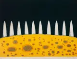 Antonio Henrique Amaral, Sem Título, litogravura sobre papel