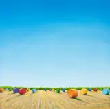 Antonio Peticov, The Harvest