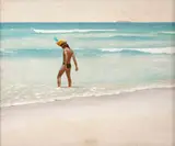 Glauco Rodrigues, Pau-Brasil (O Mar)