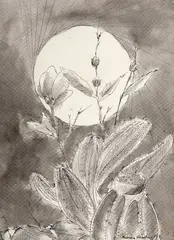 Sem Título by Aldemir Martins, 1976, nanquim sobre papel, offered Nov 2018