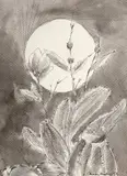 Sem Título by Aldemir Martins, 1976, nanquim sobre papel, offered Nov 2018