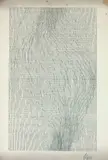 Sem Título, Untitled, nanquim sobre papel
