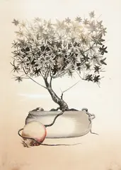 O Fruto Incontido by S. Matta, 1982, litogravura sobre papel, offered Aug 2018