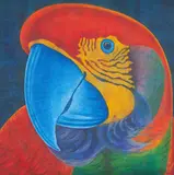 Papagalia by Claudio Tozzi, acrílica sobre tela, offered Aug 2018