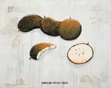 Oscar Satio Oiwa, Brazilian Exotic Fruits, 1990, técnica mista e colagem sobre tela