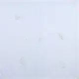 As Aftas by Brígida Baltar, 2016, bordado sobre tecido, offered Aug 2018