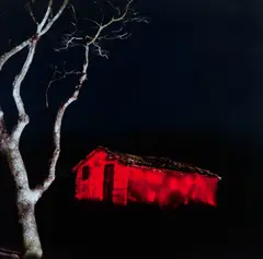 Renan Cepeda, Sem Título, fotografia