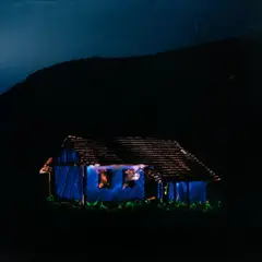 Renan Cepeda, Sem Título, fotografia