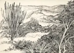 Restinga by Roberto Burle Marx, nanquim sobre papel vegetal, offered Jun 2018