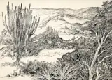 Roberto Burle Marx, Restinga, nanquim sobre papel vegetal