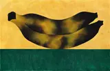 Antonio Henrique Amaral, Banana Nº 83
