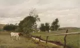 Pedro Weingärtner, Fazenda com Gado