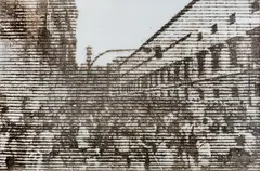 Sem Título by Tomas Espina, 2010, pólvora queimada sobre papel, offered Apr 2018
