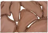 Leda Catunda, 7 Partes, 1997, acrílica sobre tela recortada e argolas