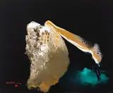 Manabu Mabe, Som da Terra