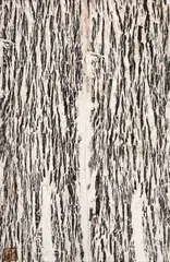 Sem Título by Frans Krajcberg, óleo sobre papel moldado, offered Apr 2018