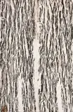 Sem Título by Frans Krajcberg, óleo sobre papel moldado, offered Apr 2018