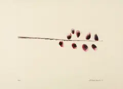 Galho by Aldemir Martins, 1995, gravura em metal sobre papel, offered Nov 2017
