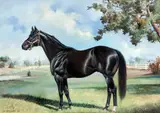 Cassio Mello, Dark Brown, 1994, óleo sobre tela