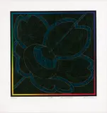 Kazuo Wakabayashi, Pião