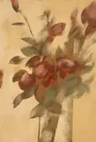 Carlos Scliar, Rosas