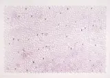 León Ferrari, Destinos, 2007, heliogravura