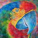 Papagália by Claudio Tozzi, 1984, acrílico sobre tela, offered Nov 2017