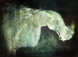 Carlos Araujo, O Mergulhador