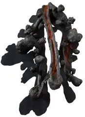 Sem Titulo by Frans Krajcberg, escultura em madeira policromada, offered Nov 2017