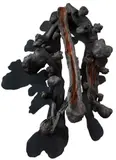 Frans Krajcberg, Sem Titulo, escultura em madeira policromada