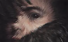Menino by Ivan Mariotti, 2017, pintura digital impressão sobre tela, offered Oct 2017