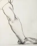 Candido Portinari, Braço