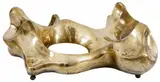 Doménico Calabrone, Silvia II