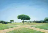 Antonio Peticov, Crossroad "The Shade"