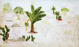 Tarsila do Amaral, Paisagem com Palmeira, Bananeira e Criança, grafite e óleo sobre tela