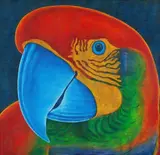 Papagalia by Claudio Tozzi, 1982, acrílica sobre tela, offered Sep 2016
