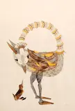 Gerda Brentani, Avestruz, 1962, nanquim e aquarela sobre papel