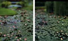Claudio Edinger, Santa Catarina (1 e 2), 2011, fotografia