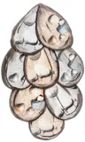 Leda Catunda, 8 Gotas, 2001, acrílico sobre veludo