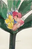 Flores by Aldemir Martins, 1966, nanquim e aquarela sobre papel, offered Dec 2015