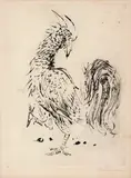 Candido Portinari, Galo, 1942, gravura a ponta-seca sobre papel