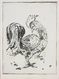 Candido Portinari, Galo, 1942, gravura a ponta-seca sobre papel