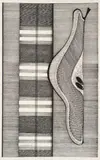 Fruta by Aldemir Martins, 1957, nanquim sobre papel fabriano com marca d´água, offered Jun 2015