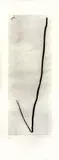 Carmela Gross, Gancho, 1995, água-tinta, água-forte e ponta-seca sobre papel