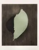 Noire et Vert by Arthur Luiz Piza, gravura em metal sobre papel, offered Mar 2015