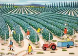 Agostinho Batista de Freitas, Plantação de Uva