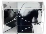 Carlos Vergara, Sem Titulo, 2013, metacrilato, acrilico e espelho